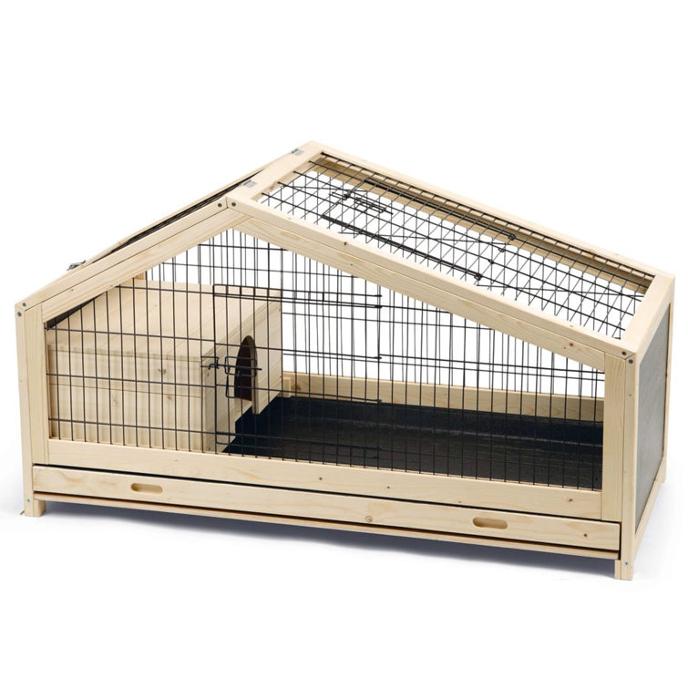 Cage for store rabbit near me